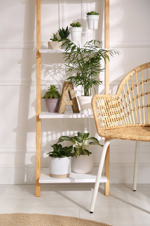 Elegant decorative ladder with houseplants and chair in light roomの写真素材