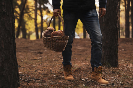 Man with basket full of wild mushrooms in autumn forest, closeupの写真素材