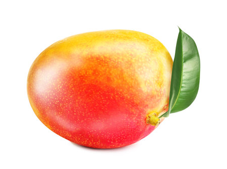 Delicious ripe mango with green leaf isolated on whiteの写真素材