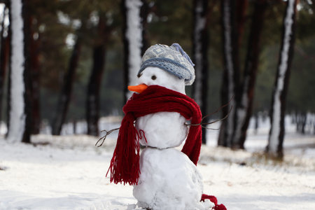 Funny snowman with scarf and hat in winter forestの写真素材