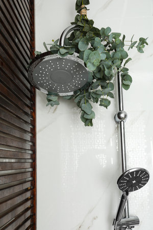 Branches with green eucalyptus leaves in the shower