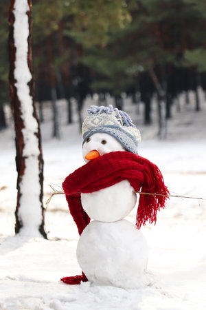 Funny snowman with scarf and hat in winter forestの写真素材