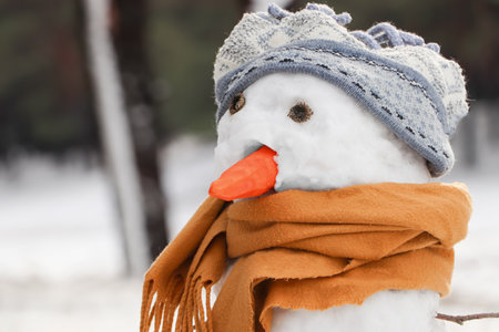 Funny snowman with scarf and hat outdoorsの写真素材