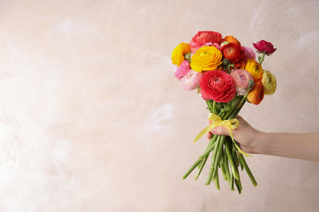 Woman holding beautiful ranunculus flowers against beige background, closeup. Space for textの写真素材