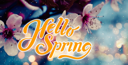 Hello Spring. Blossoming tree outdoors, bokeh effect