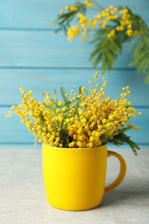 Bouquet of beautiful mimosa flowers on gray tableの写真素材