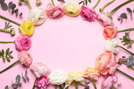 Frame of beautiful ranunculus flowers on pink background, flat lay. Space for textの写真素材