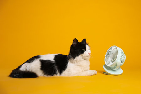 Cute fluffy cat enjoying air flow from fan on yellow background. Summer heatの写真素材