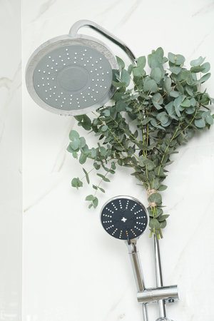 Branches with green eucalyptus leaves in the shower, low angle view