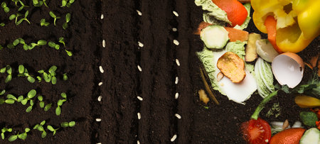 Organic waste for composting and white beans on soil, flat lay. natural fertilizer