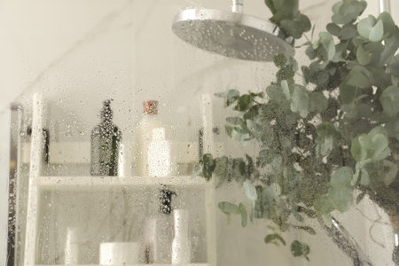 Branches of green eucalyptus leaves in shower, focus on glass with water dropsの写真素材