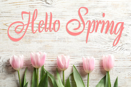 hello spring. Beautiful tulips on white wooden background, flat layの写真素材
