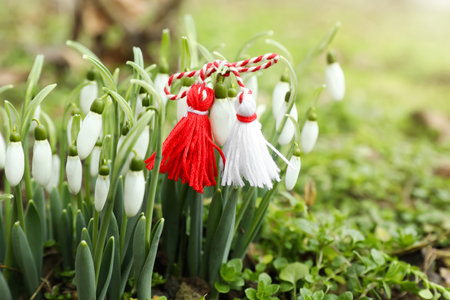 Traditional martisor and beautiful snowdrops outdoors. Symbol of first spring dayの写真素材
