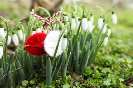 Traditional martisor and beautiful snowdrops outdoors, closeup. Symbol of first spring dayの写真素材