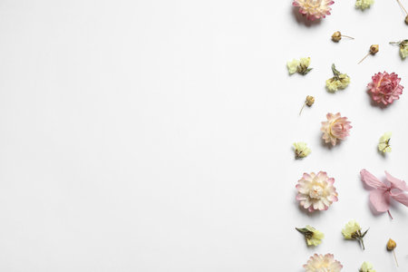Beautiful fresh and dry flowers on white background, flat lay. Space for textの写真素材