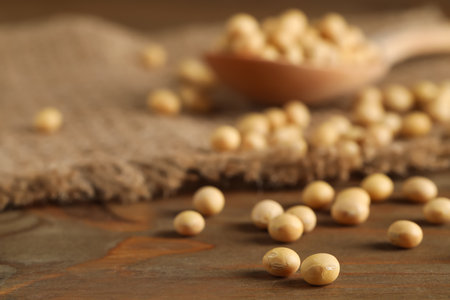Soy on wooden table, closeup. Space for textの写真素材