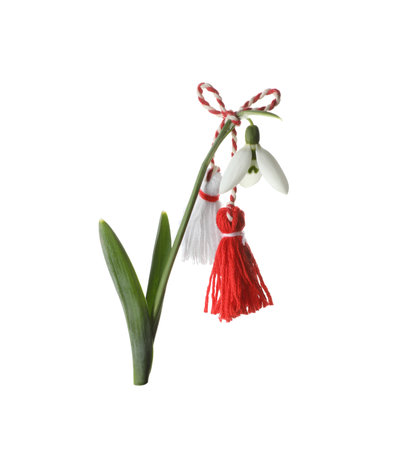 Beautiful snowdrop with traditional martisor on white background. Symbol of first spring dayの写真素材