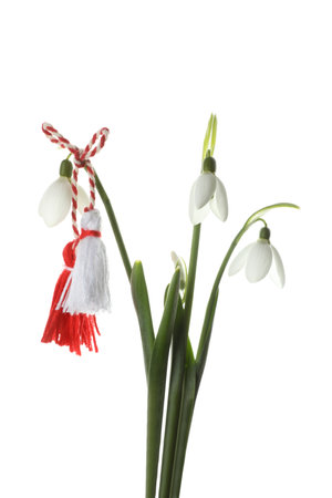 Beautiful snowdrops with traditional martisor on white background. Symbol of first spring dayの写真素材