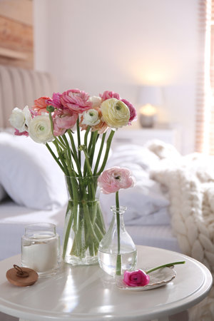 Beautiful ranunculus flowers on the table in the bedroomの写真素材