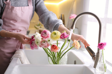 Woman taking care of cut fresh ranunculus flowers in kitchen, closeupの写真素材