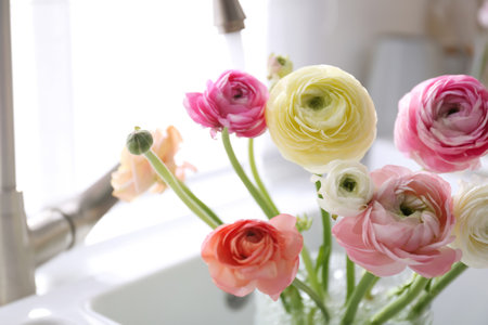 Beautiful fresh ranunculus flowers in kitchen sink, closeupの写真素材