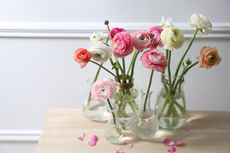 Beautiful ranunculus flowers on wooden table near wall. Space for textの写真素材