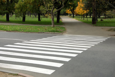 Pedestrian crossing on empty city street in autumnの写真素材