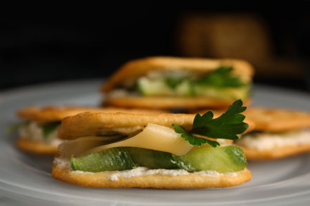 Delicious crackers with cream cheese, cucumber and parsley on plate, closeupの写真素材