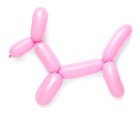Pink dog figure made of modeling balloon on white background, top viewの写真素材