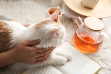 Woman with cute fluffy cat, tea and book on faux fur, closeupの写真素材