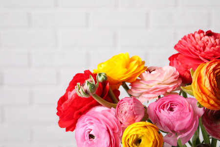 Beautiful fresh ranunculus flowers near white brick wall, closeup. Space for textの写真素材