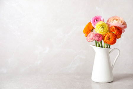 Beautiful ranunculus flowers in white jug on table. Space for textの写真素材