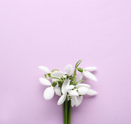Beautiful snowdrops on lilac background, top viewの写真素材