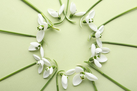 Frame of beautiful snowdrops on light background, flat lay. Space for textの写真素材