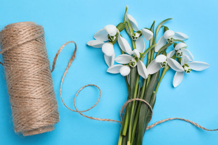 Beautiful snowdrops and twine on light blue background, flat layの写真素材