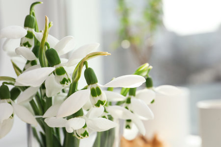 Beautiful fresh snowdrops in vase, closeup viewの写真素材