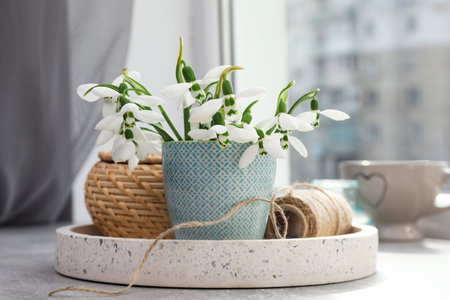 Beautiful snowdrops in vase and decor on light gray table near windowの写真素材