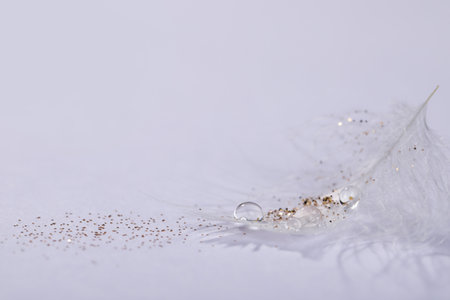 Closeup view of beautiful feather with dew drops and glitter on white background, space for textの写真素材