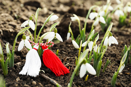 Traditional martisor among beautiful snowdrops outdoors. Beginning of spring celebrationの写真素材