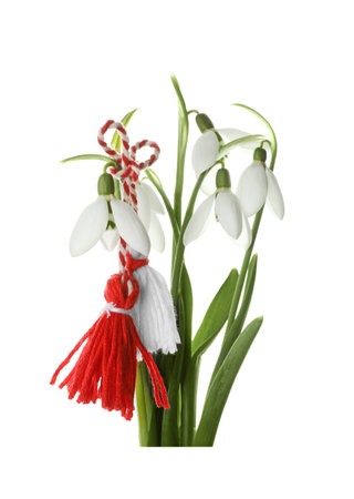 Beautiful snowdrops with traditional martisor on white background. Symbol of first spring dayの写真素材