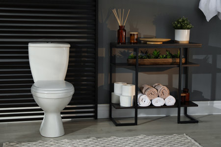 Modern bathroom interior with toilet bowl and console tableの写真素材