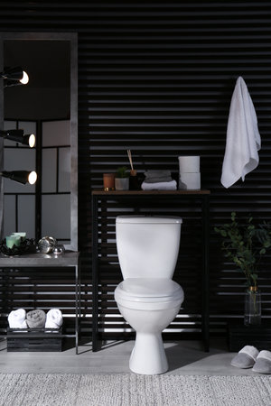 Stylish bathroom interior with toilet bowl and other essentialsの写真素材