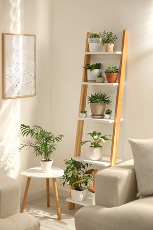 Decorative wooden ladder in stylish living room interiorの写真素材