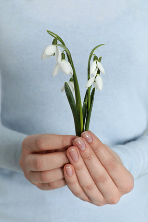 Woman holding beautiful snowdrop flowers, closeup view. Symbol of first spring dayの写真素材
