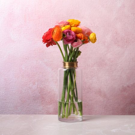 Beautiful fresh ranunculus flowers in vase on white table near color wallの写真素材