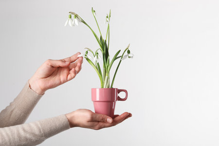Woman holding pink cup with planted snowdrops on light background, closeupの写真素材