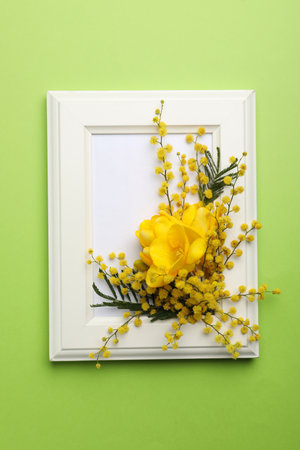 Beautiful floral composition with mimosa flowers and frame on green background, top viewの写真素材