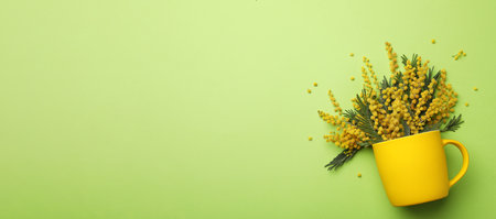 Beautiful floral composition with mimosa flowers and cup on green background, flat lay. Space for textの写真素材