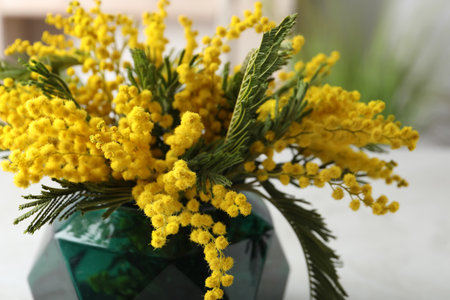 Beautiful mimosa flowers in green vase indoors, closeupの写真素材
