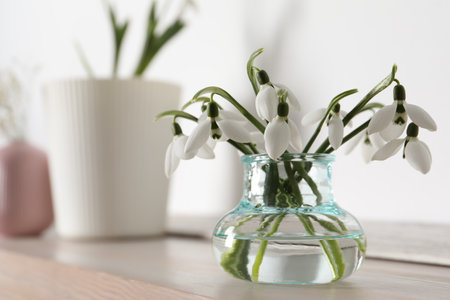 Beautiful snowdrop flowers in glass vase on wooden table, space for textの写真素材